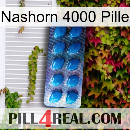 Rhino 4000 Pill viagra1